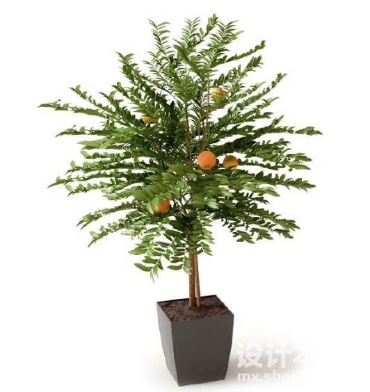 盆栽植物3d模型下载