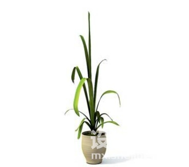 室内植物3d模型下载