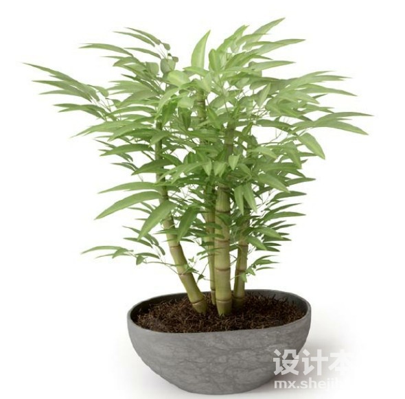 盆栽植物3d模型下载
