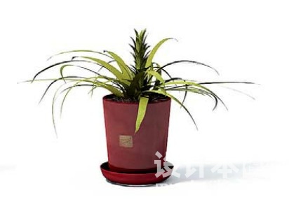 室内植物3d模型下载