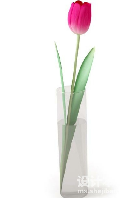 盆栽植物3d模型下载