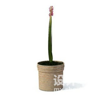 室内植物3d模型下载