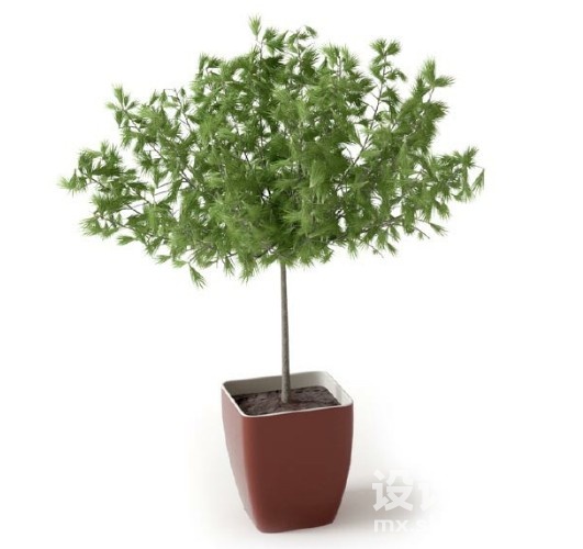 盆栽植物3d模型下载