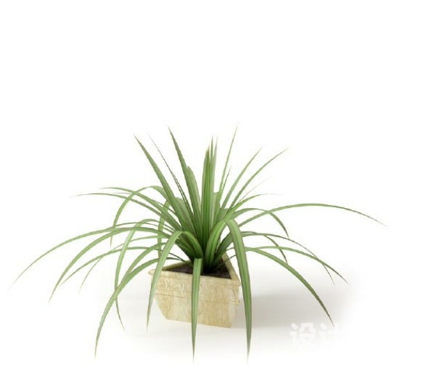 盆栽植物3d模型下载