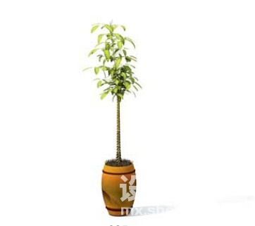 室内植物3d模型下载
