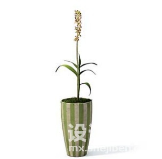 室内植物3d模型下载