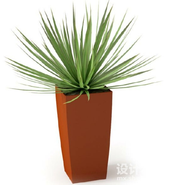 盆栽植物3d模型下载