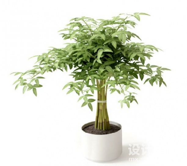 盆栽植物3d模型下载