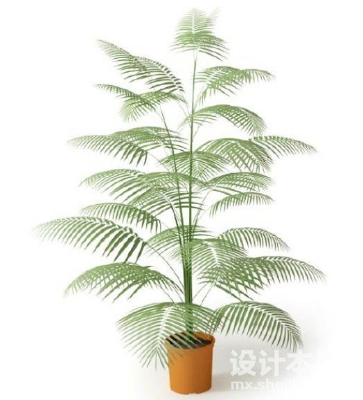 盆栽植物3d模型下载