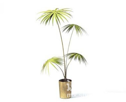 室内植物3d模型下载