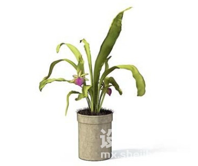 室内植物3d模型下载