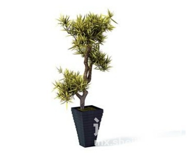室内植物3d模型下载