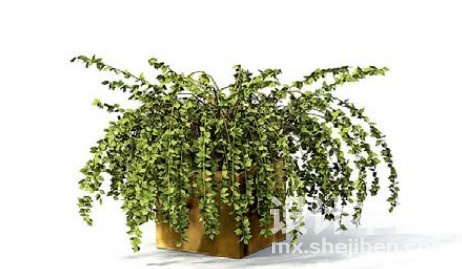 室内植物3d模型下载