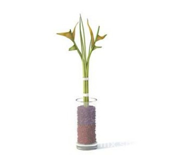 室内植物3d模型下载