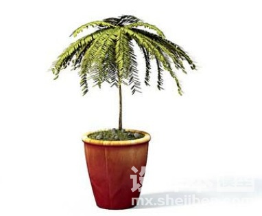 室内植物3d模型下载