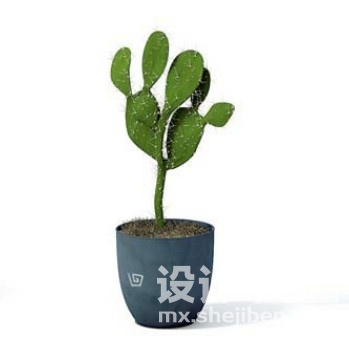 室内植物3d模型下载