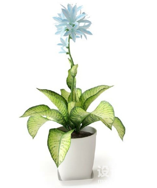 盆栽植物3d模型下载