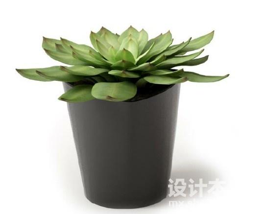盆栽植物3d模型下载