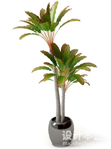 盆栽植物3d模型下载