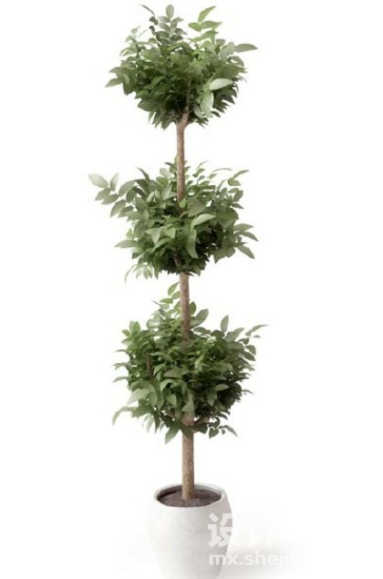 盆栽植物3d模型下载
