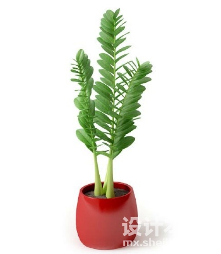 盆栽植物3d模型下载
