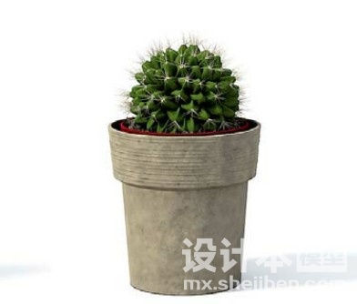室内植物3d模型下载
