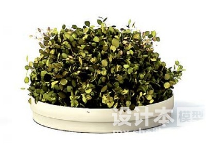 室内植物3d模型下载