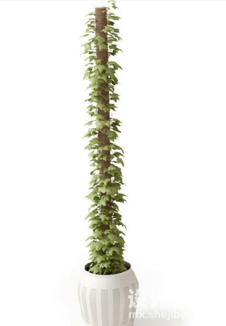 盆栽植物3d模型下载