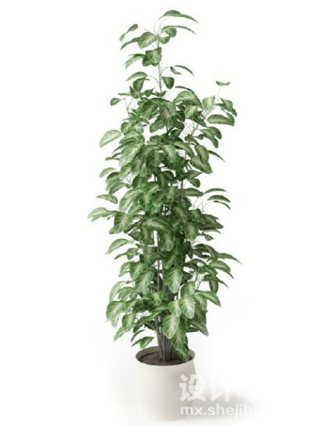 盆栽植物3d模型下载