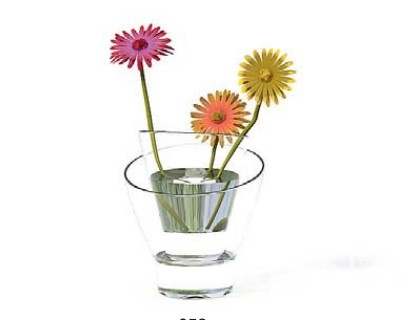 室内植物3d模型下载