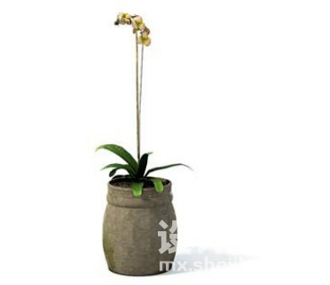 室内植物3d模型下载