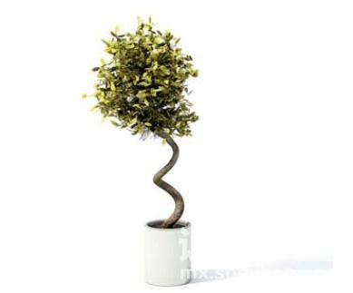 室内植物3d模型下载