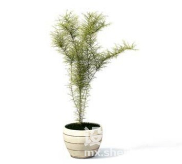 室内植物3d模型下载