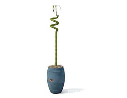 室内植物3d模型下载