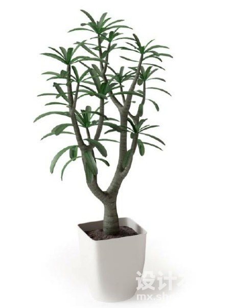 盆栽植物3d模型下载