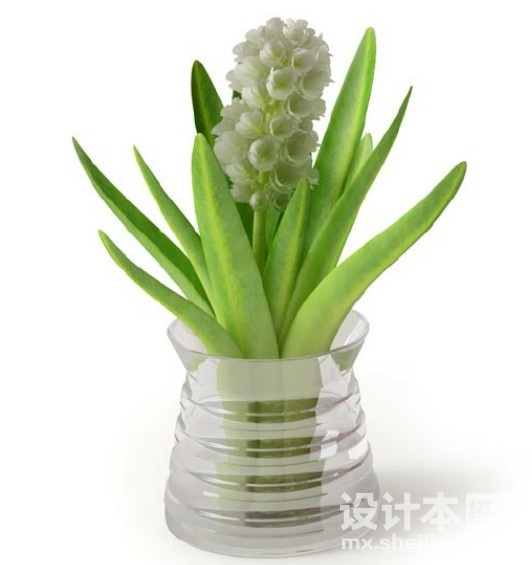 盆栽植物3d模型下载