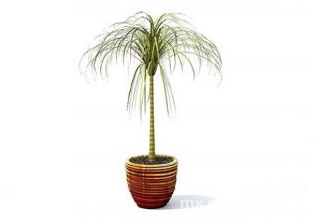 室内植物3d模型下载