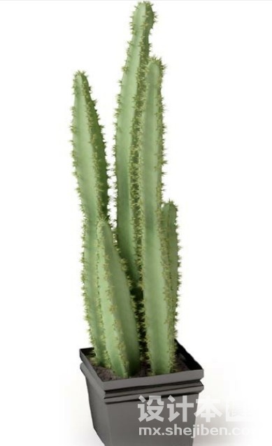 盆栽植物3d模型下载