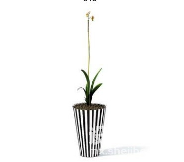 室内植物3d模型下载