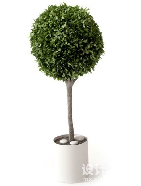盆栽植物3d模型下载