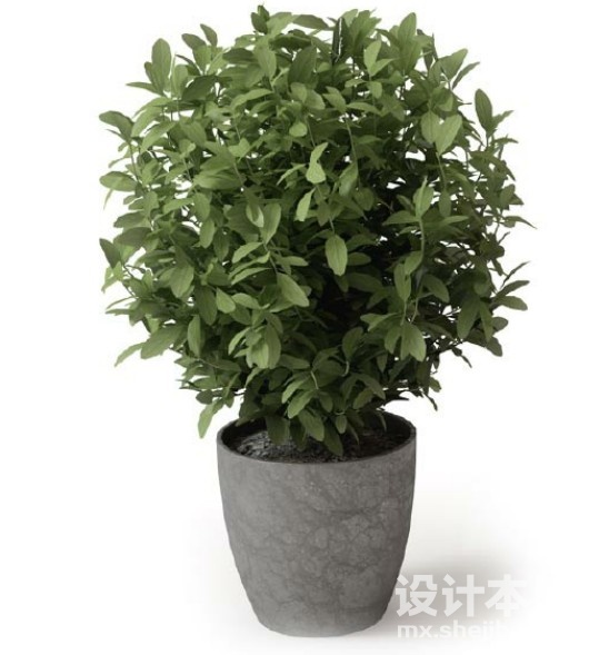 盆栽植物3d模型下载