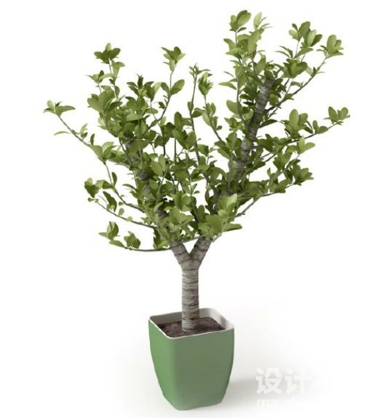 盆栽植物3d模型下载