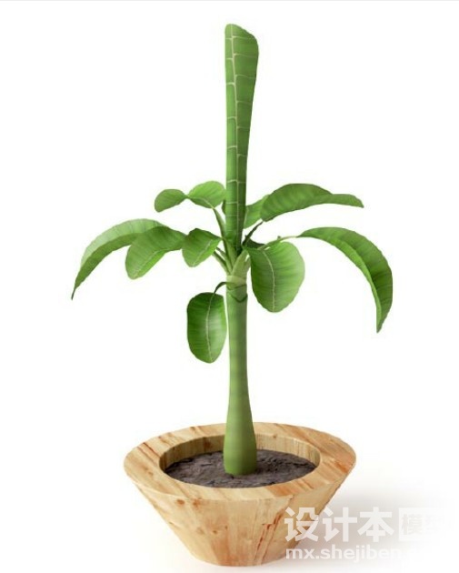 盆栽植物3d模型下载
