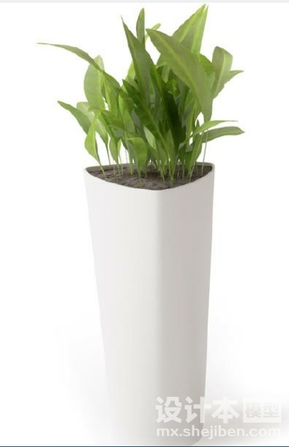 盆栽植物3d模型下载