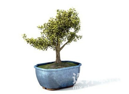 室内植物3d模型下载