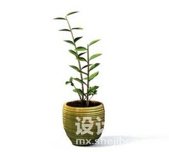 室内植物3d模型下载