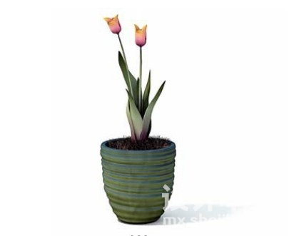 室内植物3d模型下载