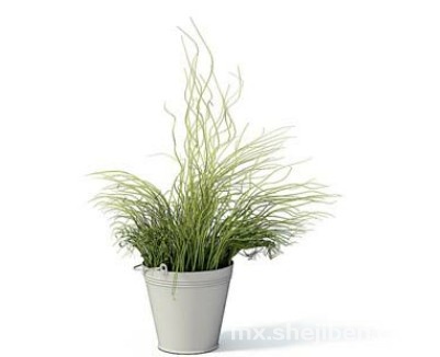 室内植物3d模型下载