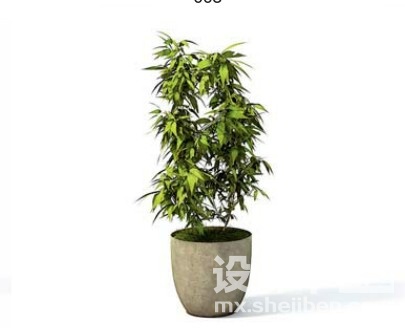 室内植物3d模型下载