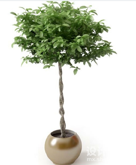盆栽植物3d模型下载